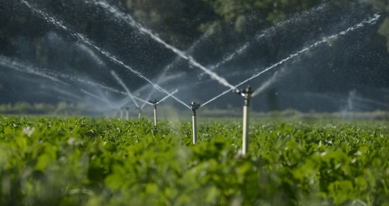 Sprinkler System Optimization in Aiken, SC