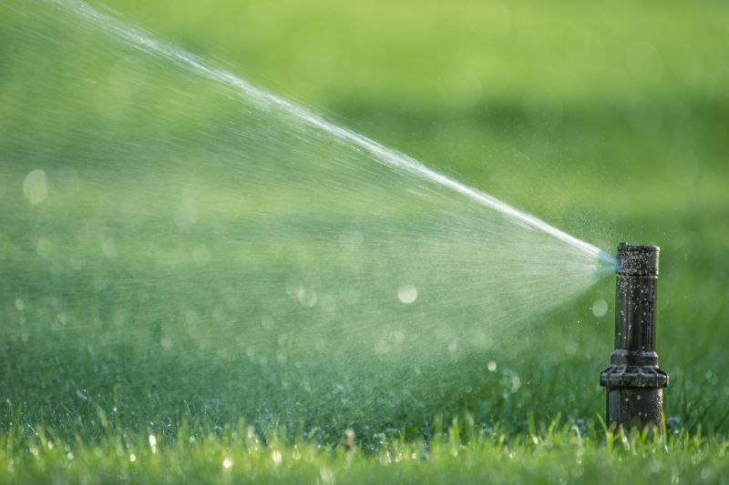 Vegetable Watering