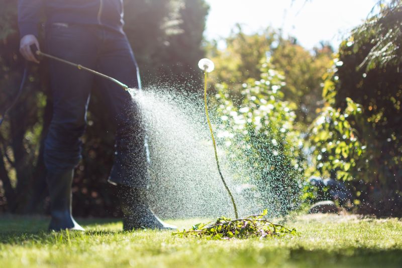 Vegetable Watering