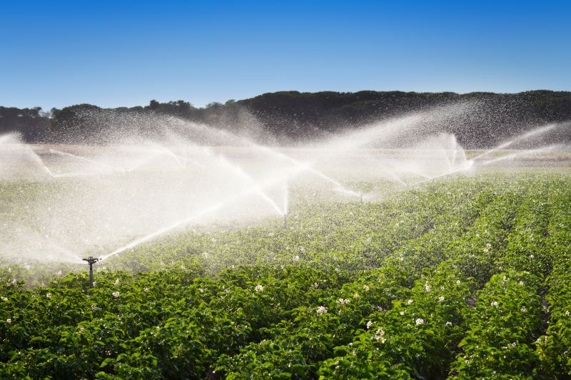 Crop Irrigation Installation in Honolulu, HI
