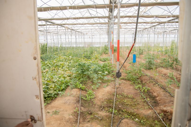 Crop Irrigation Installation in Ventura County, CA