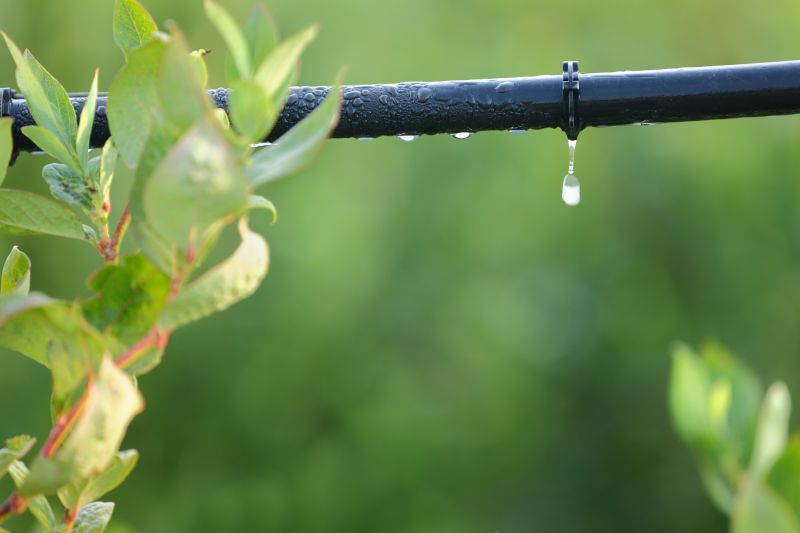 Drip Irrigation Installation in Honolulu, HI
