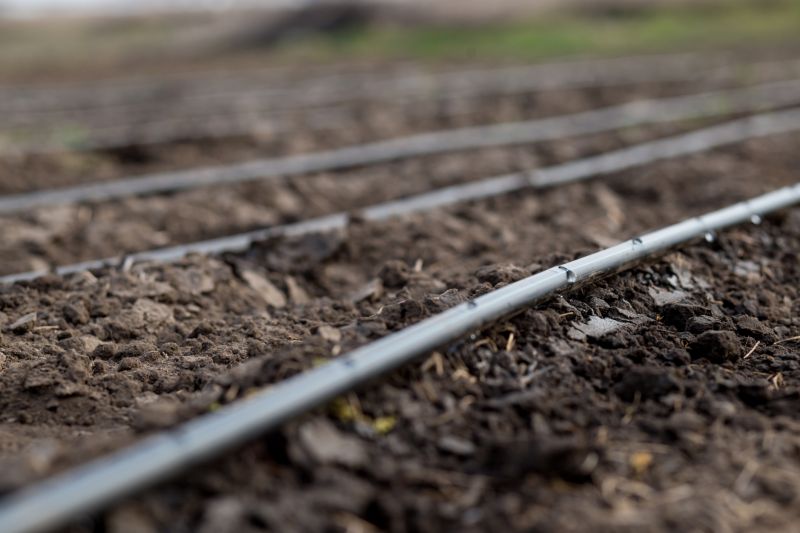 Field Irrigation Installation in Honolulu, HI