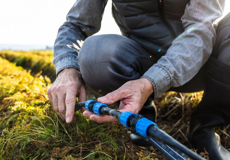Irrigation Repair in Aiken, SC