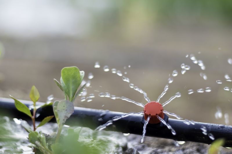 Mist Irrigation Installation in Aiken, SC