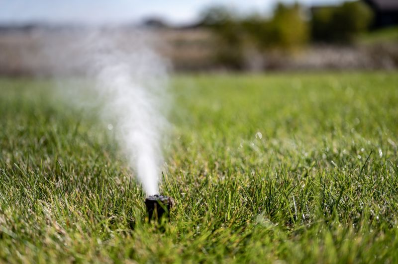Sprinkler Blowout Service in Carson City, NV
