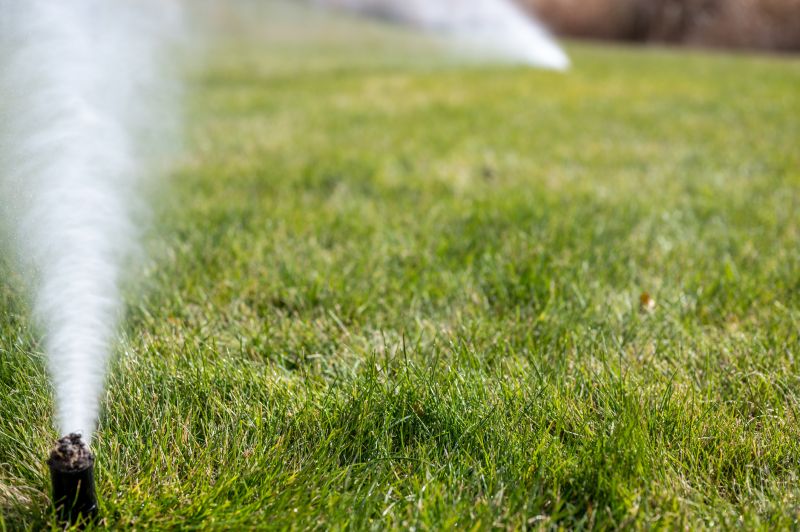 Sprinkler Winterization in Reno, NV