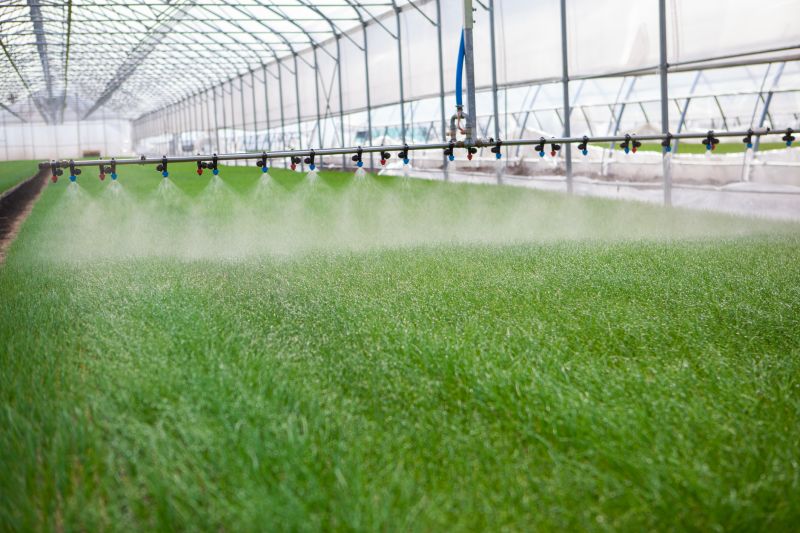 Vegetable Watering Costs — Cost of Vegetable Watering