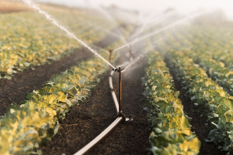 Irrigation System Type