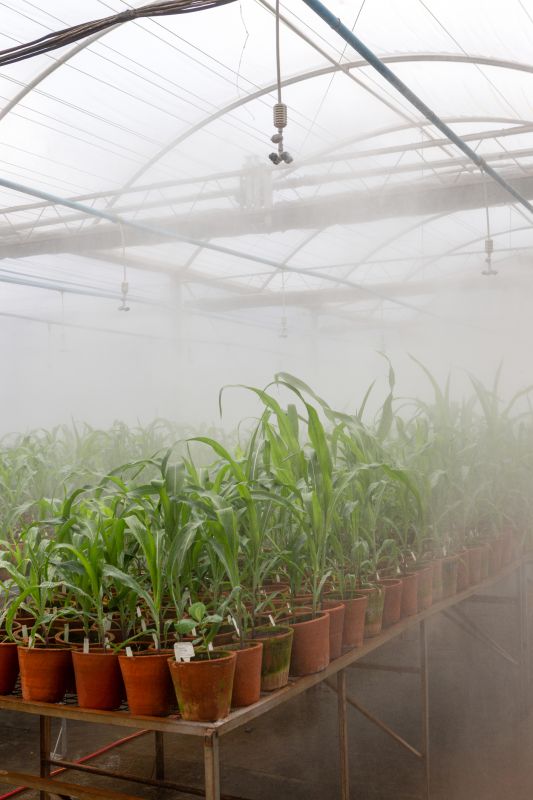 Soil Moisture Management